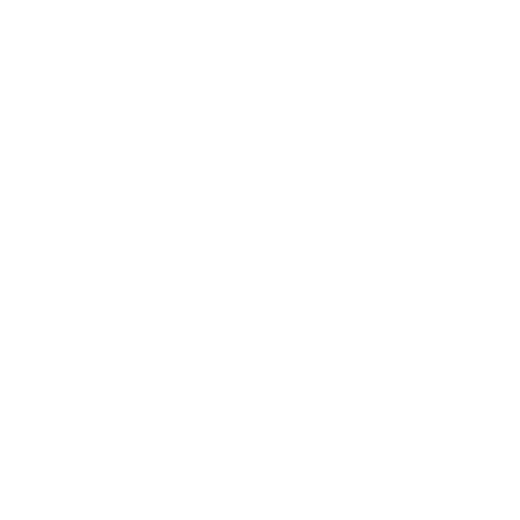 Delta force Security